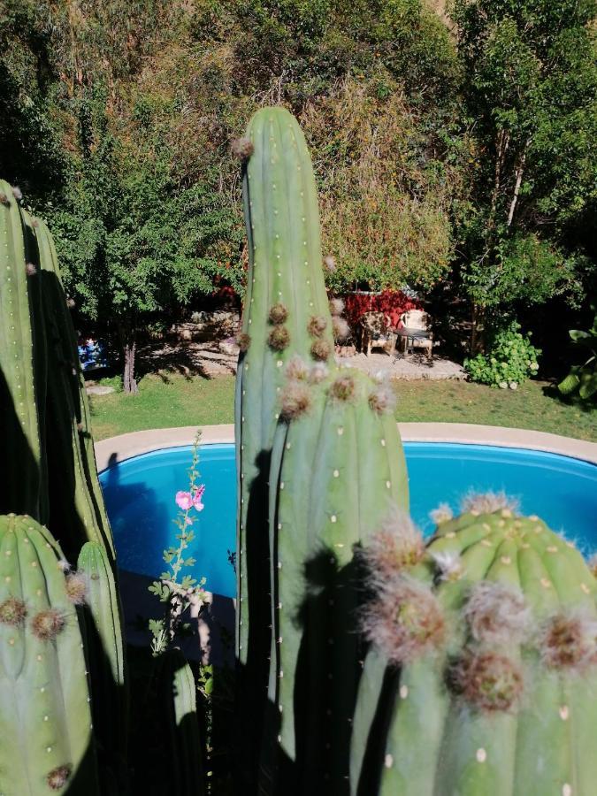 El Jardin Secreto-Pisco Elqui Aparthotel Eksteriør bilde