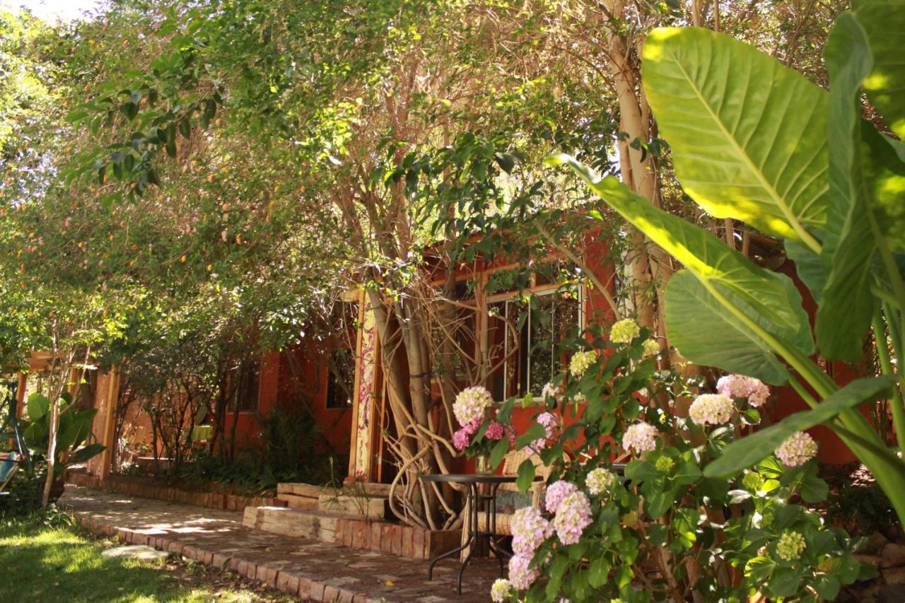 El Jardin Secreto-Pisco Elqui Aparthotel Eksteriør bilde