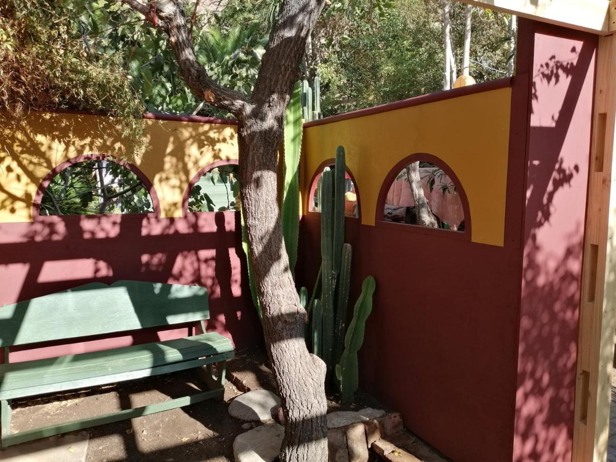 El Jardin Secreto-Pisco Elqui Aparthotel Eksteriør bilde